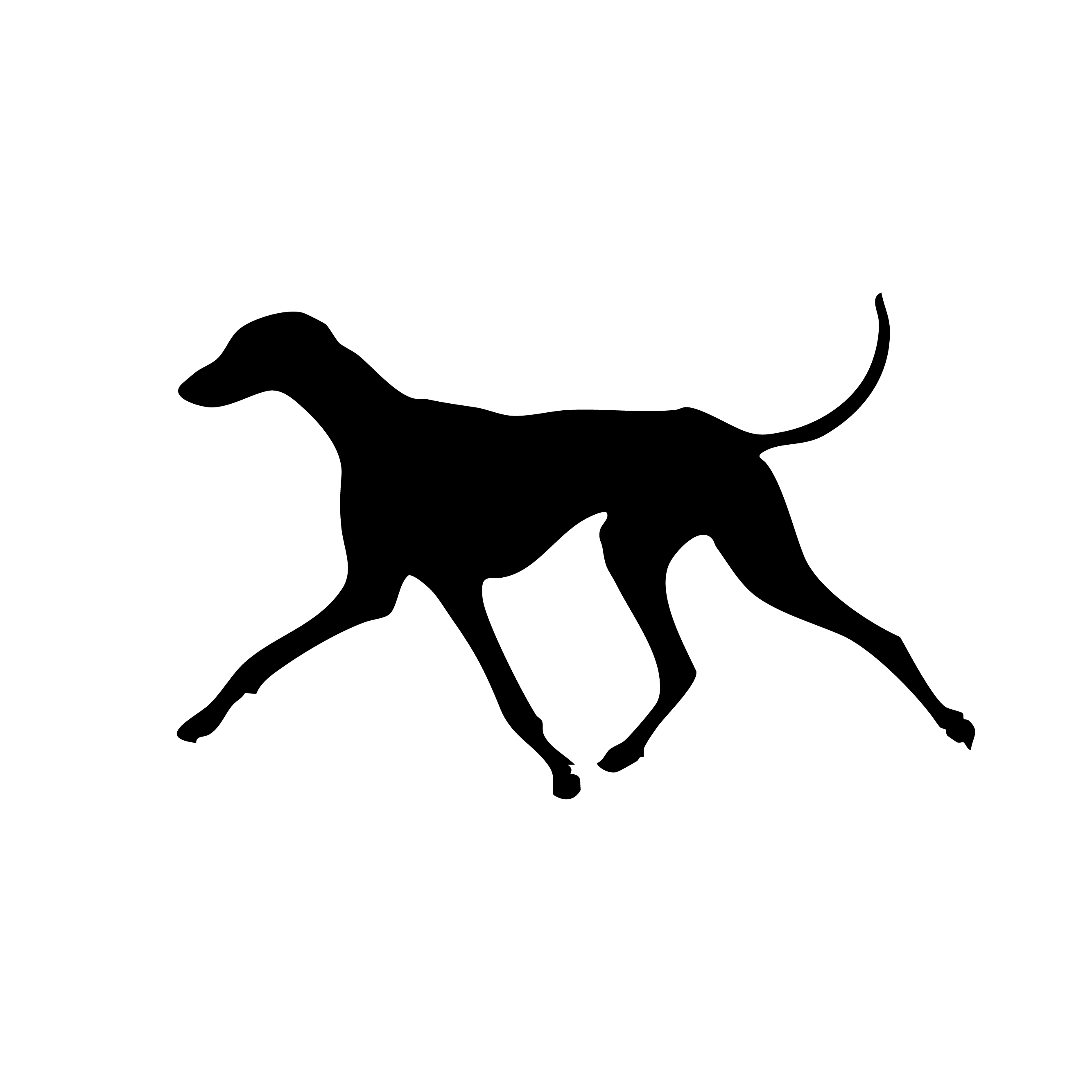 Azawakh