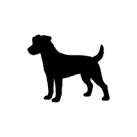 Fell Terrier