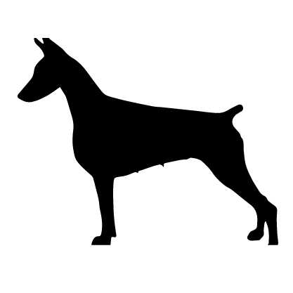 German Pinscher