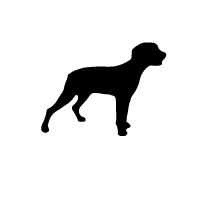 Jagd Terrier