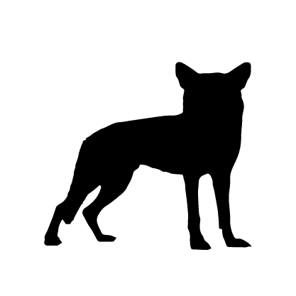 Tamaskan Dog